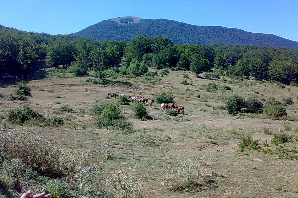View of Pollino