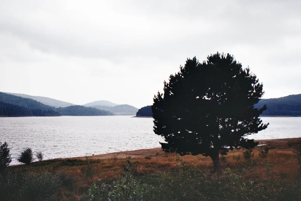 Lake Arvo in the Sila National Park