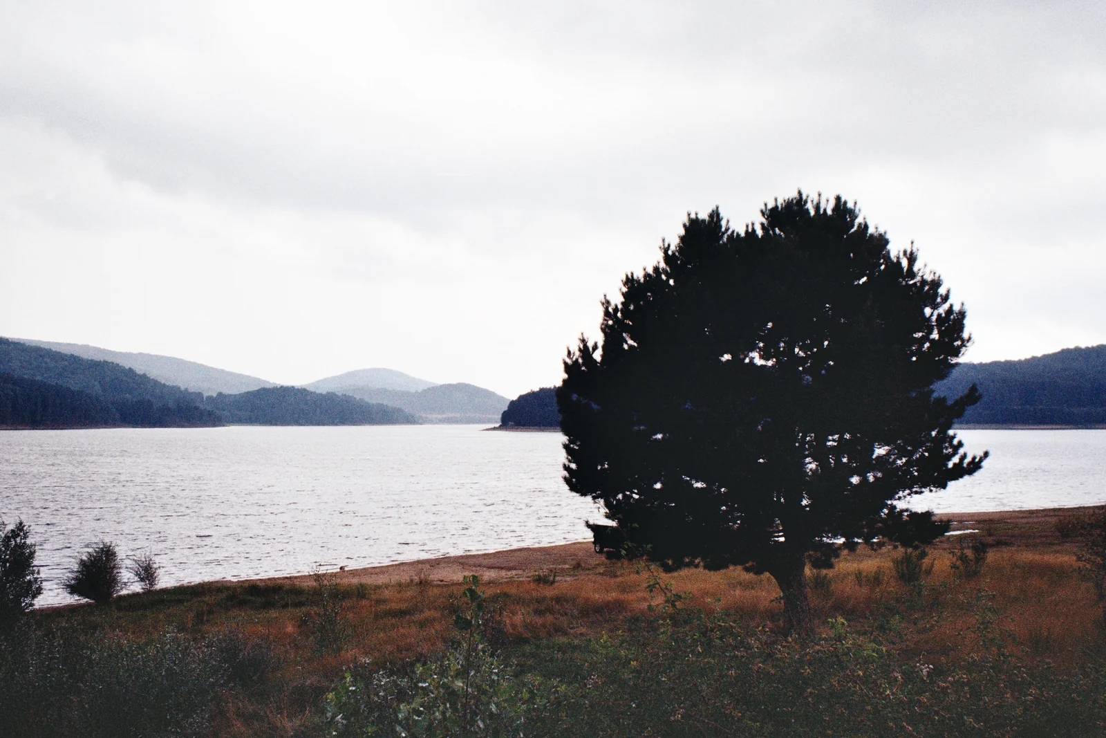 Lake Arvo in the Sila National Park