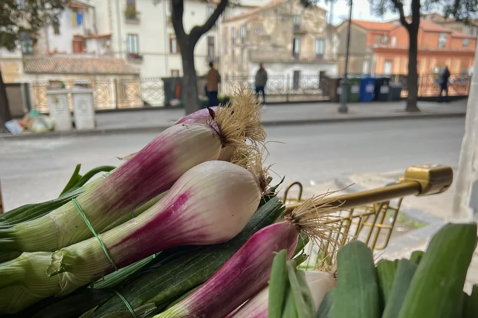 Spring onions at Cosenza market, April 2024