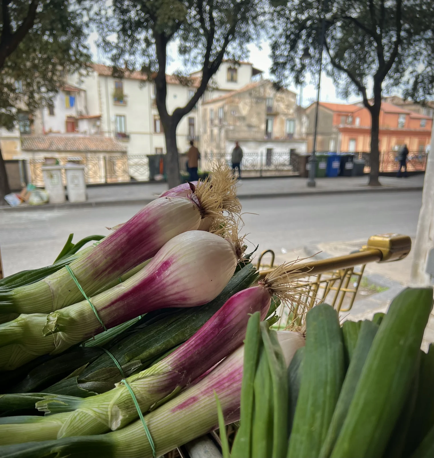 Spring onions at Cosenza market, April 2024
