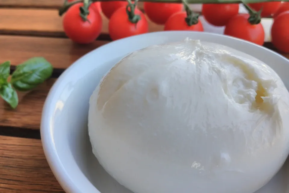 Burrata with cherry tomatoes and basil