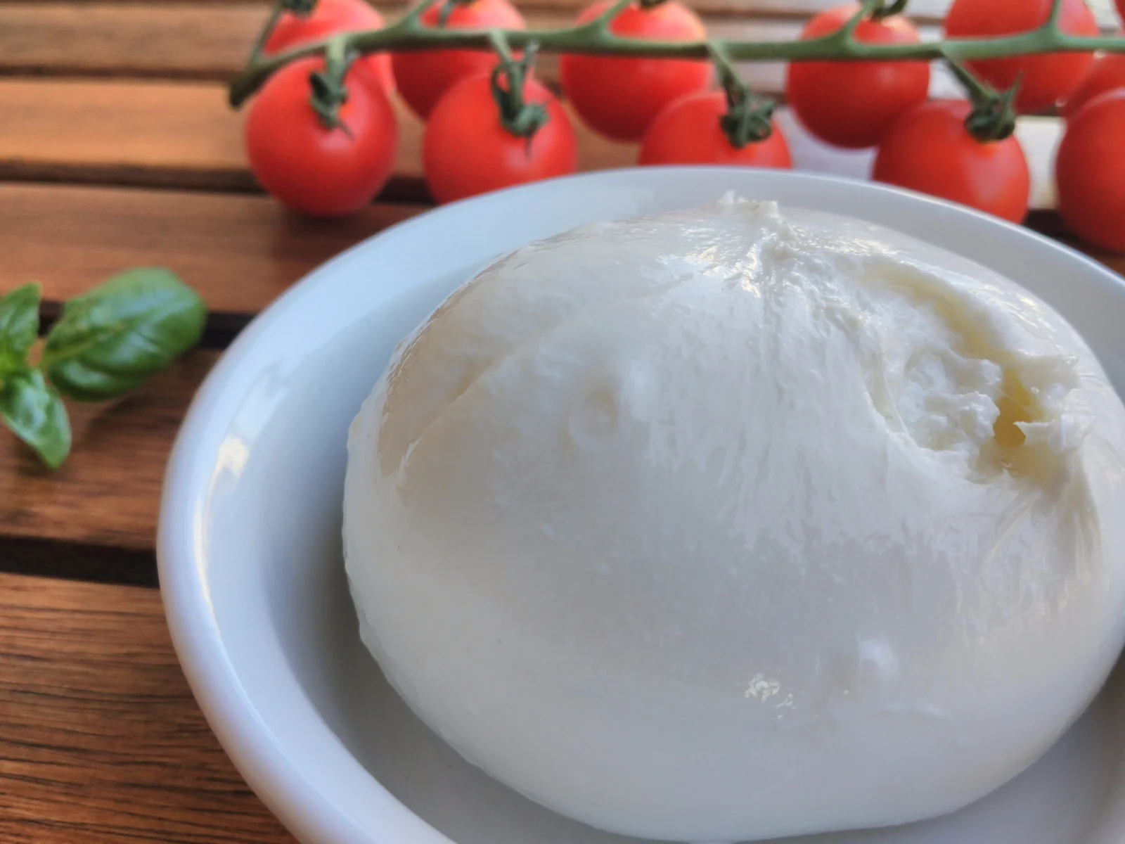Burrata with cherry tomatoes and basil