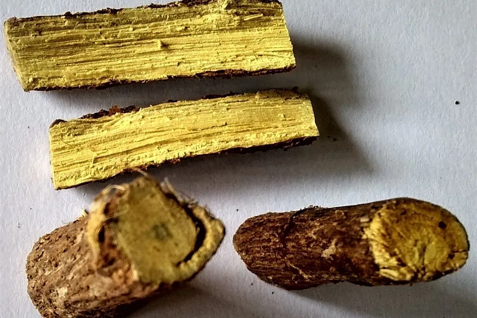 Sections of liquorice root, illustrative photograph