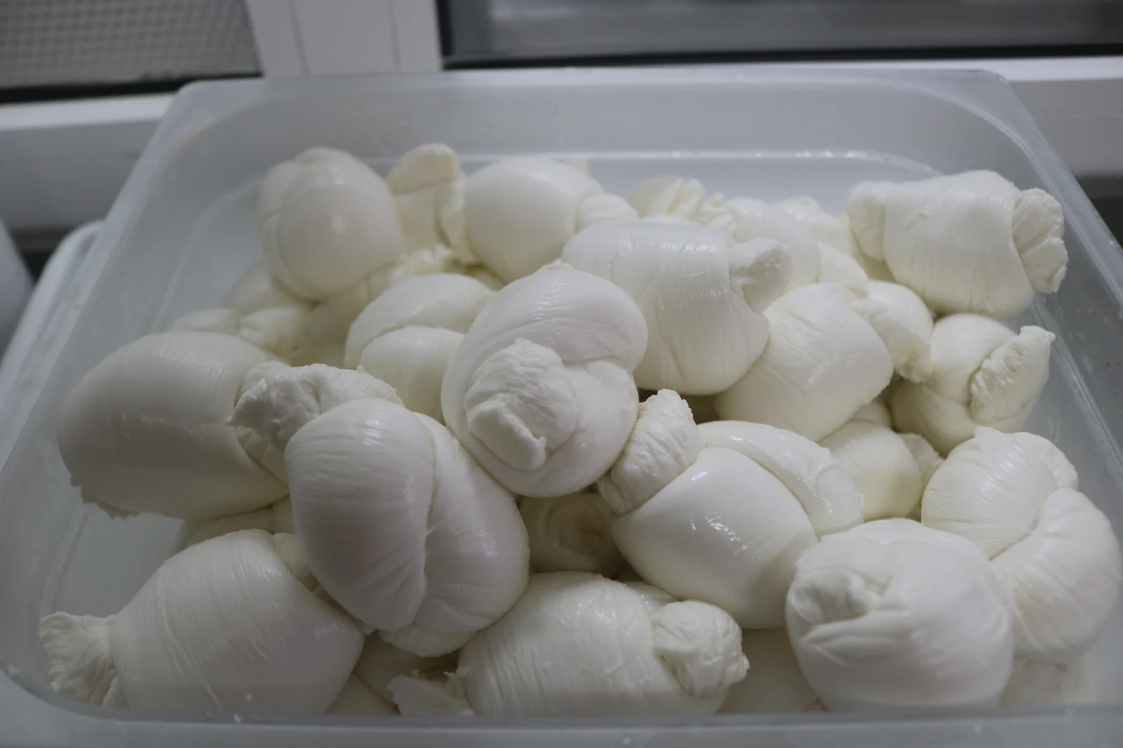 Fior di latte mozzarella