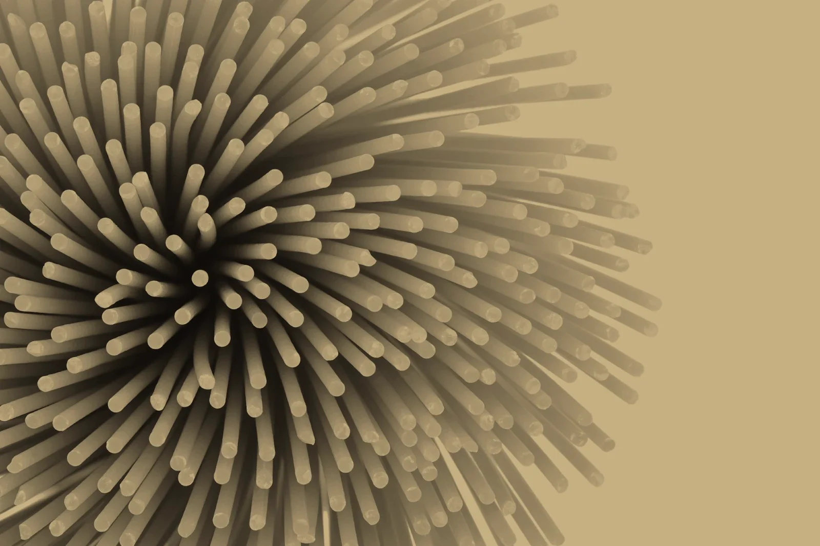 Uncooked spaghetti seen end-on