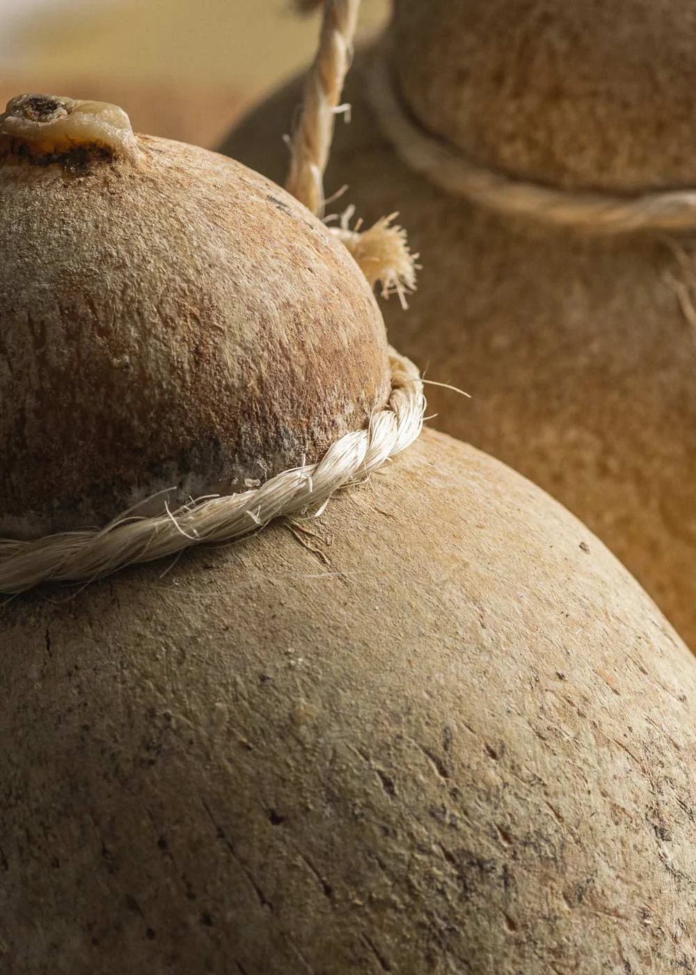 Aged caciocavallo cheeses from Caseificio Artigiana tied with cord