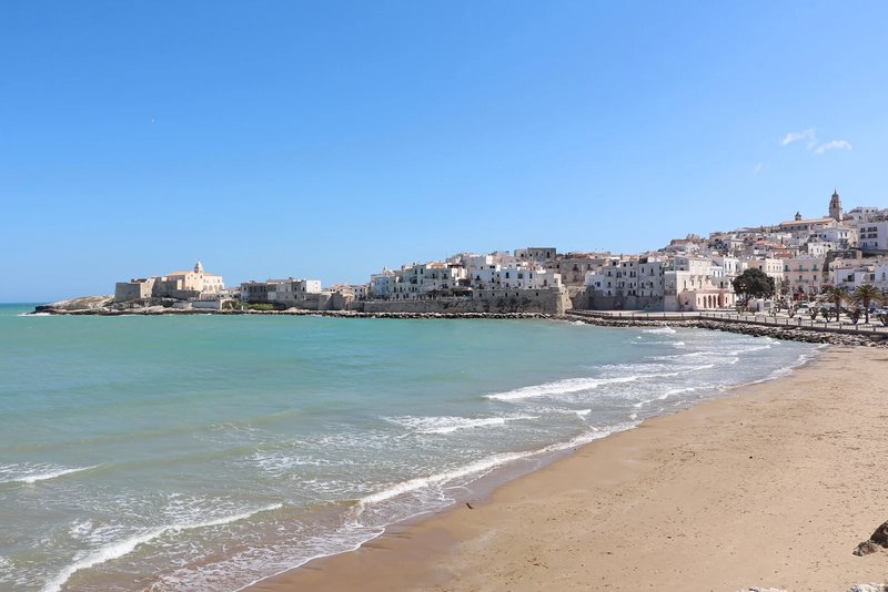 Vieste seen from the sea